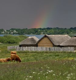 Vikingernes boliger 2